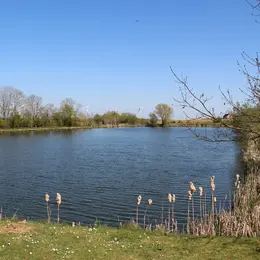 La Planète Verte