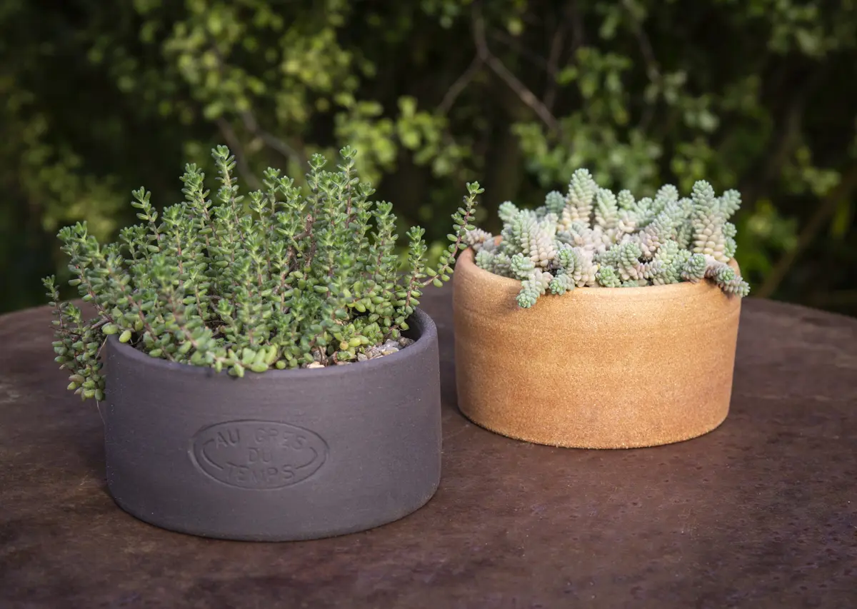 La Potere Au grès du temps fête ses 21 ans