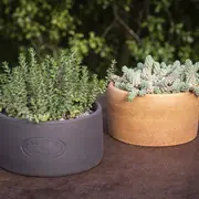 La Potere Au grès du temps fête ses 21 ans