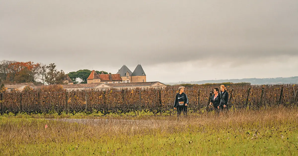 Rajjsin La Raisin d'Or en Sauternais Sauternes : dates, horaires, parcours