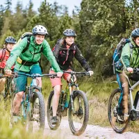La région du Parc national de la Forêt-Noire – Une expérience nature à deux pas de l'Alsace DR