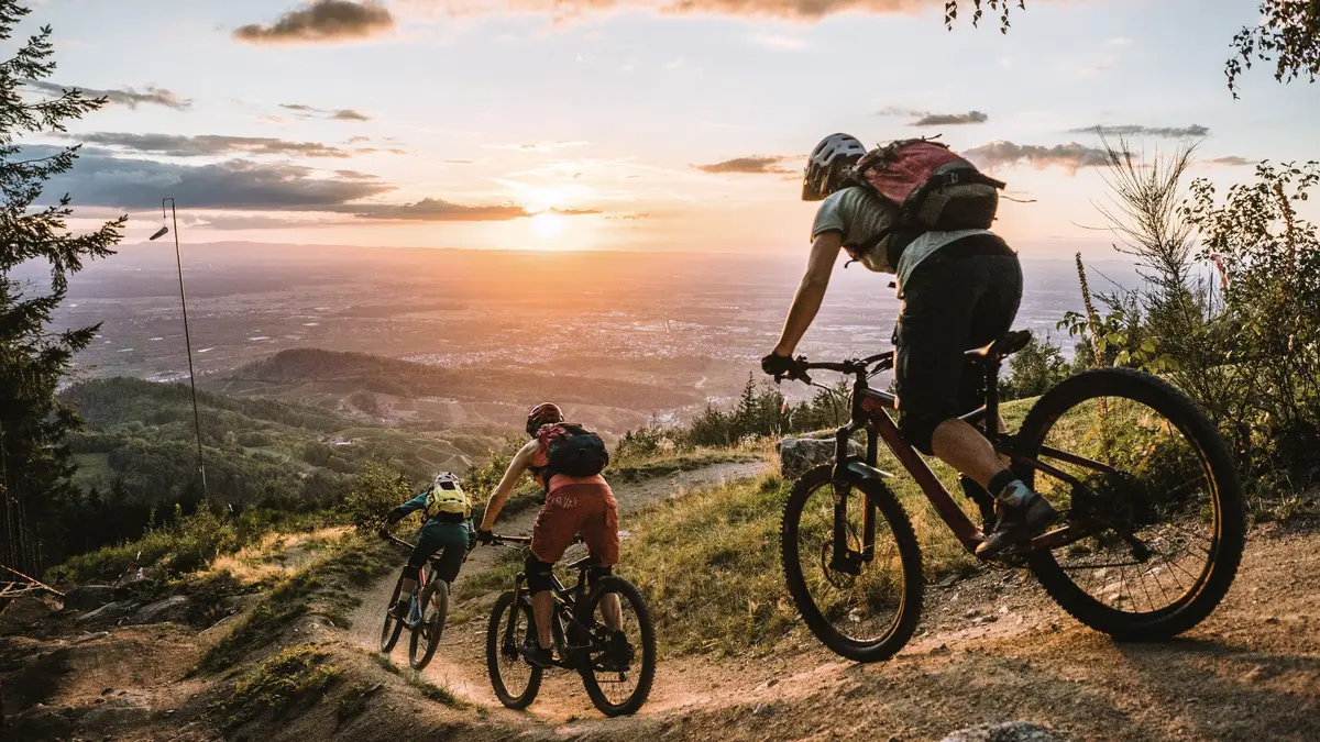La région du Parc national de la Forêt-Noire – Une expérience nature à deux pas de l'Alsace