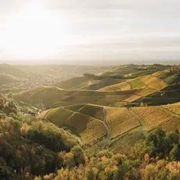 La région du Parc national de la Forêt-Noire – Une expérience nature à deux pas de l'Alsace