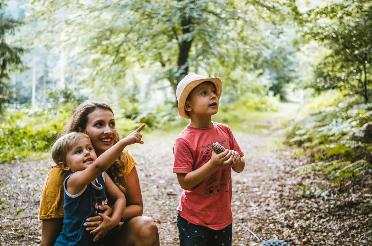 La région du Parc national de la Forêt-Noire – Une expérience nature à deux pas de l'Alsace
