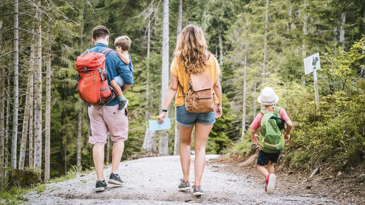 La région du Parc national de la Forêt-Noire – Une expérience nature à deux pas de l'Alsace