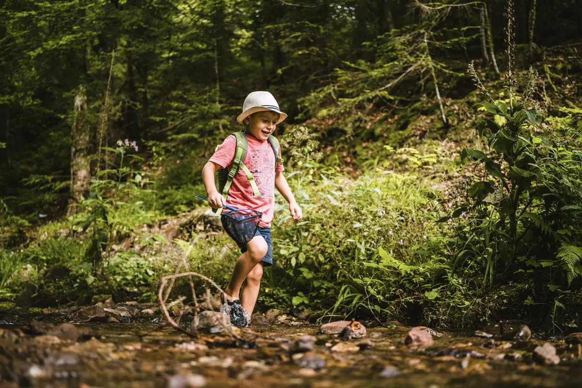 La région du Parc national de la Forêt-Noire – Une expérience nature à deux pas de l'Alsace
