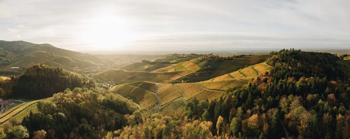 La région du Parc national de la Forêt-Noire – Une expérience nature à deux pas de l'Alsace