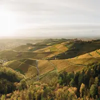 La région du Parc national de la Forêt-Noire – Une expérience nature à deux pas de l'Alsace &copy; Black Forest Collective