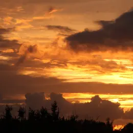La Réserve au crépuscule