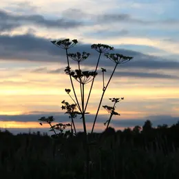 La Réserve au crépuscule