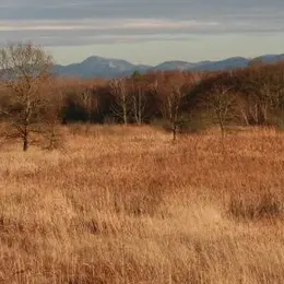 5 parcs naturels régionaux  à découvrir