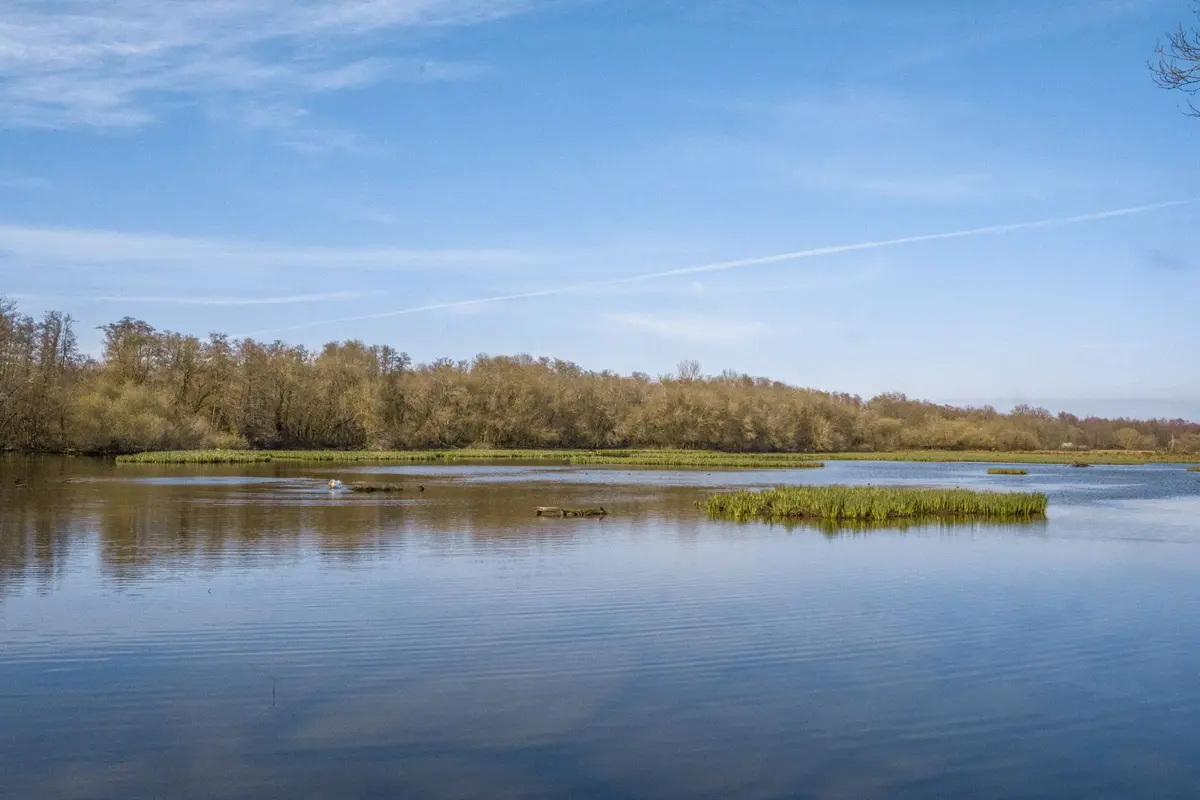 Réserve naturelle nationale des Marais de Bruges