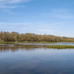 La Réserve naturelle des marais de Bruges