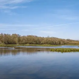 La Réserve naturelle des marais de Bruges