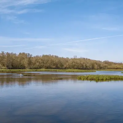 La Réserve naturelle des marais de Bruges