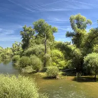 La réserve naturelle du Delta de la Sauer possède des aspects de mangrove équatoriale &copy; Achim Lammerts