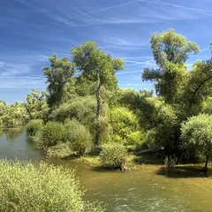 Delta de la Sauer