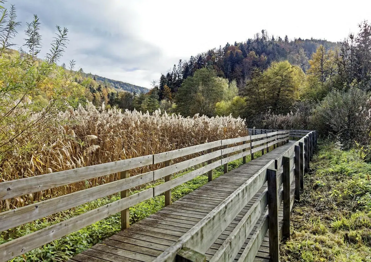 La Réserve Naturelle du Lac de Lucelle