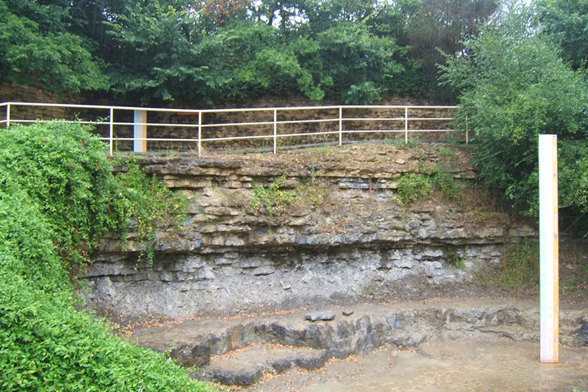 La Réserve Naturelle Nationale du Toarcien