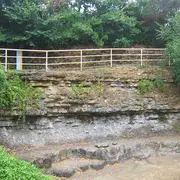 La Réserve Naturelle Nationale du Toarcien