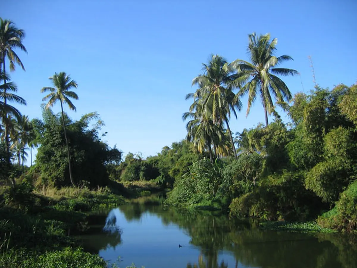 &copy; St&eacute;phane Charrier - Fotolia.com