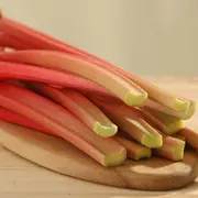 Tout savoir sur la rhubarbe