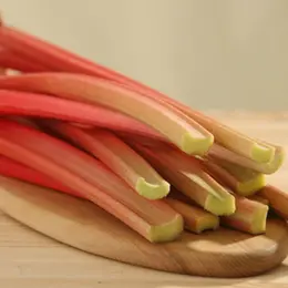 Tout savoir sur la rhubarbe