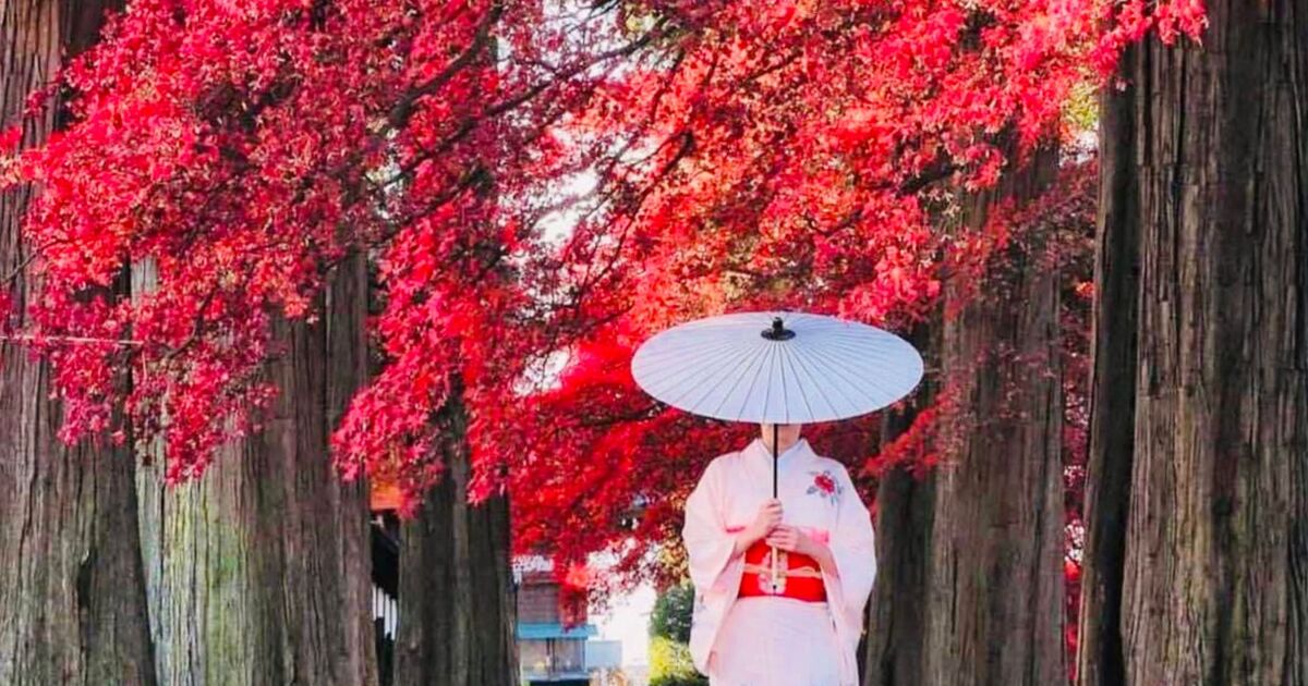 La Roche sur Foron Japan Manga Wave 2025 - Festival La Roche-sur-Foron