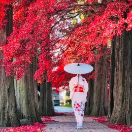 Japan Manga Wave à la Roche-sur-Foron 2027 - convention de culture japonaise