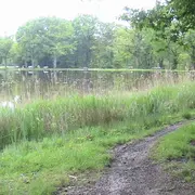 La ronde des étangs