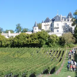La Ronde des Vignobles en Fronsadais