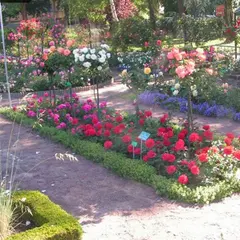 La Roseraie