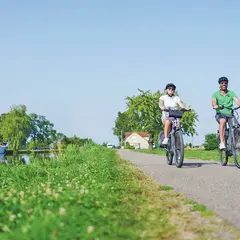 La Route de la Carpe Frite : l’incontournable gourmand du Sundgau