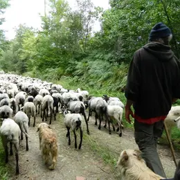 La Route de la Transhumance