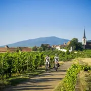 3 itinéraires de véloroutes à découvrir en famille