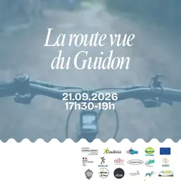 La route vue du Guidon