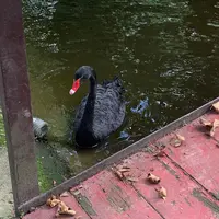 La saison 2026 de Cigoland : ouverture en mars et nouveautés de l'année &copy; Céline Zimmermann