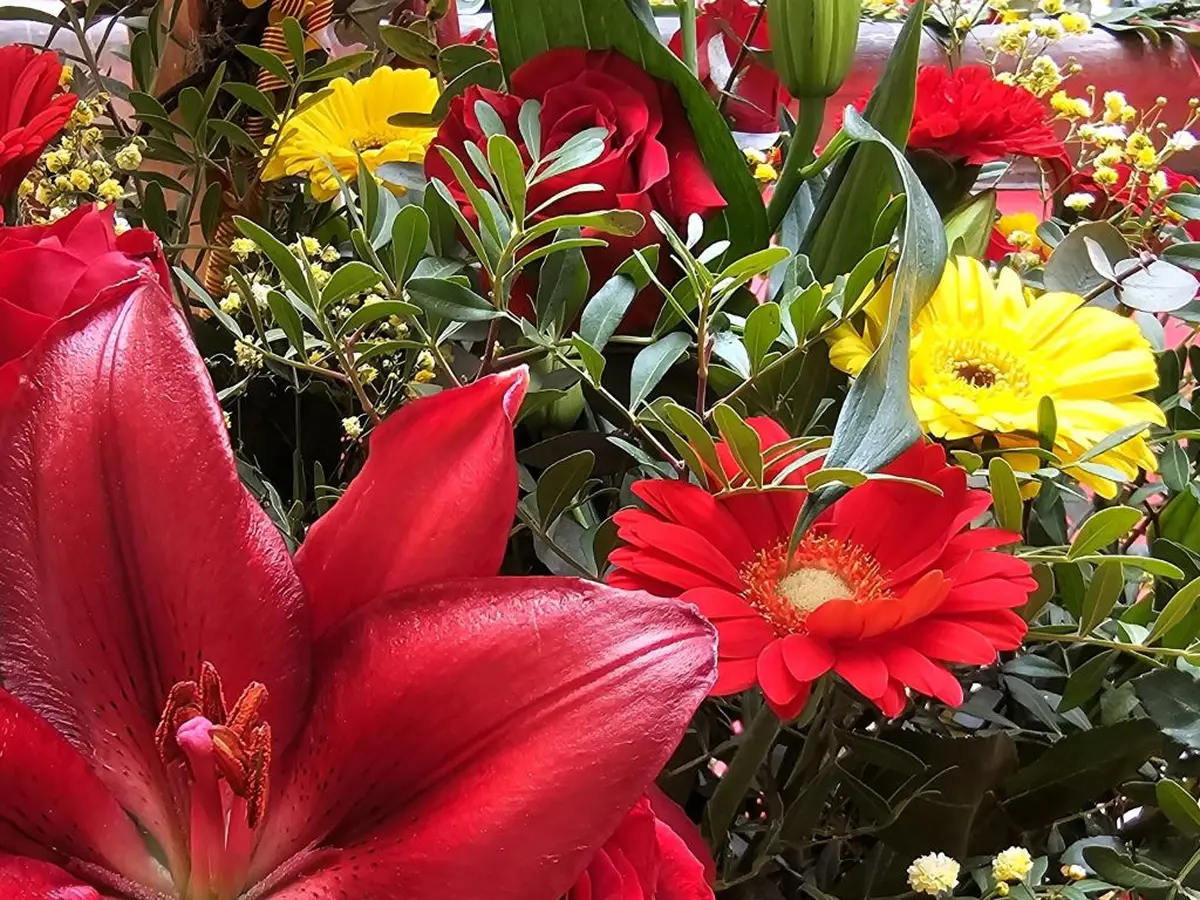 La Sant Jordi Au Musée