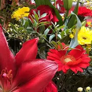 La Sant Jordi Au Musée