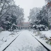 5 bâtiments mulhousiens aux histoires insolites !
