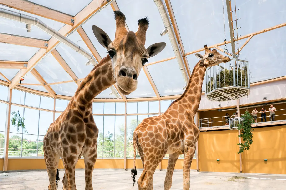 La Société Zoologique d'Alsace : une nouvelle structure au service de la biodiversité à Mulhouse