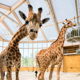 La Société Zoologique d'Alsace : une nouvelle structure au service de la biodiversité à Mulhouse
