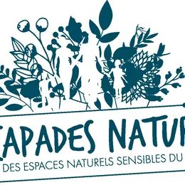 La Sologne pittoresque