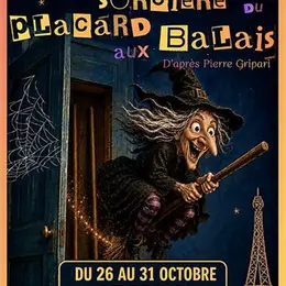 La sorcière du placard aux balais