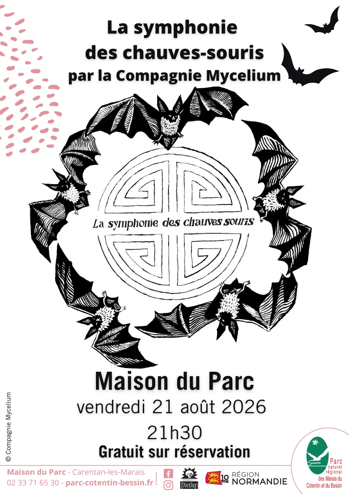 La Symphonie des Chauves-souris