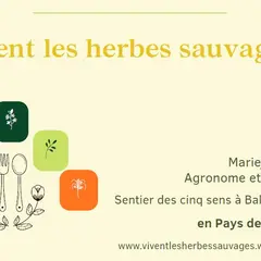 La table sauvage au Domaine les Hauts de Riquets