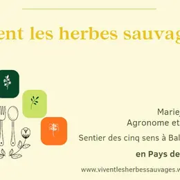 La table sauvage au Domaine les Hauts de Riquets