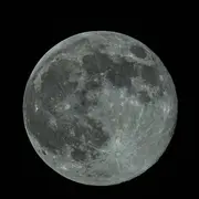 La tête dans les étoiles à la rencontre des animaux célestes