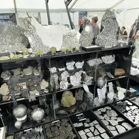 L'un des stands de la Bourse aux météorites DR