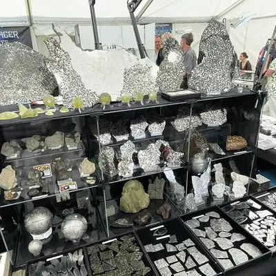 Ensisheim fête les 25 ans de son Meteorite Show